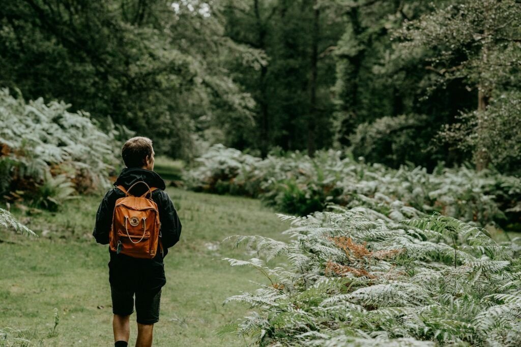 Navigating Bipolar Disorder: Tools for Resilience