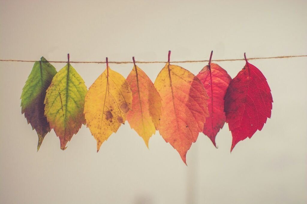 From Impulsivity to Intentionality: Your Transformation