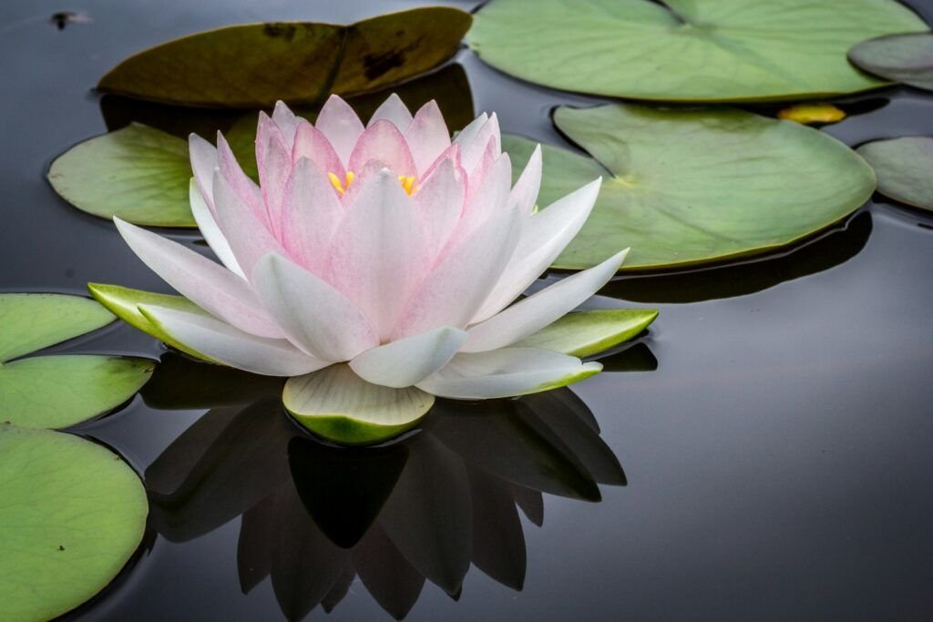 Conquer Depression: Strategies for Healing and Hope