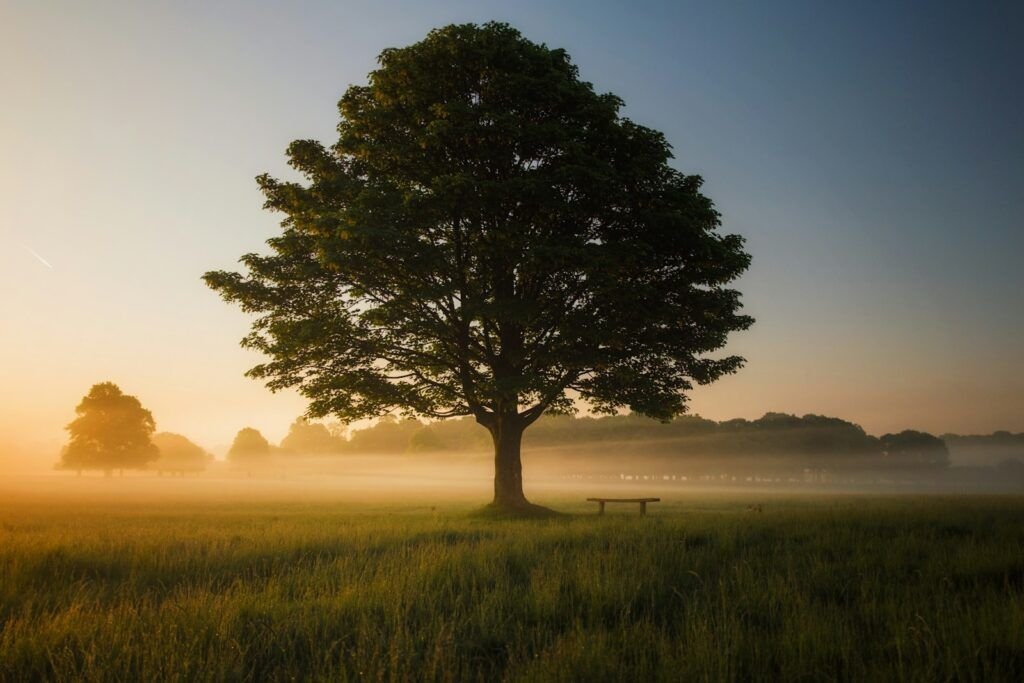 Stress Management: Techniques to Improve Your Well-being